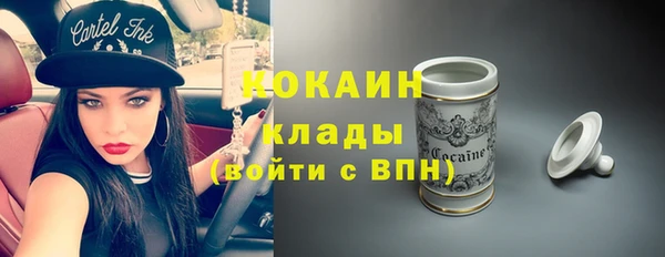 прущие грибы Белокуриха