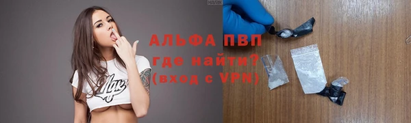 прущие грибы Белокуриха