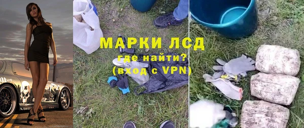 прущие грибы Белокуриха