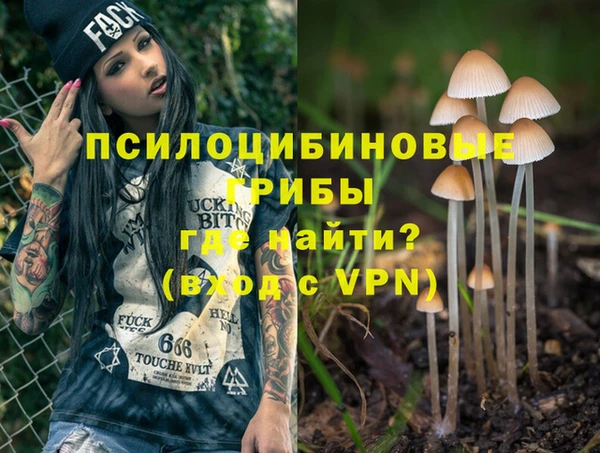 прущие грибы Белокуриха