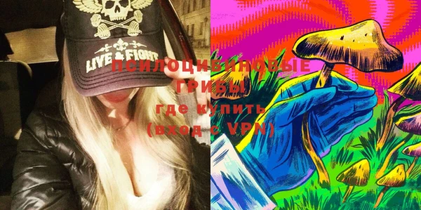 прущие грибы Белокуриха