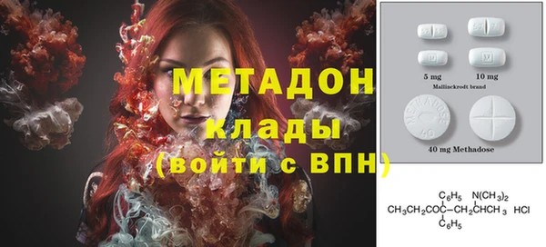 прущие грибы Белокуриха