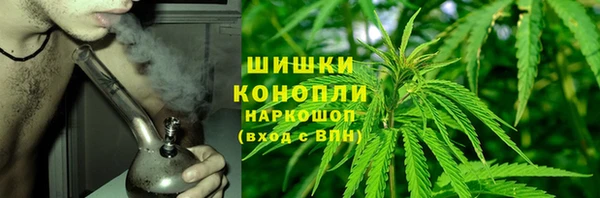 прущие грибы Белокуриха