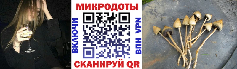 где найти наркотики  Будённовск  Псилоцибиновые грибы MAGIC MUSHROOMS 