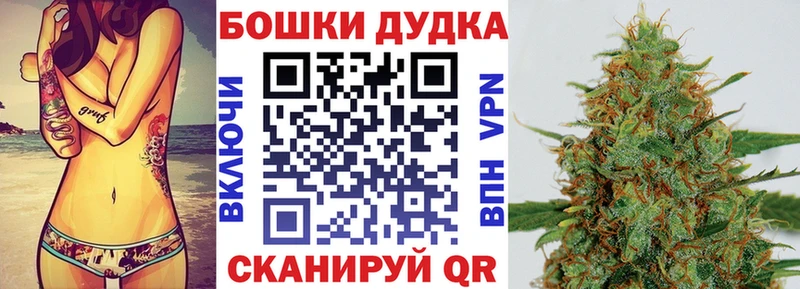 продажа наркотиков Будённовск Бошки Шишки гибрид
